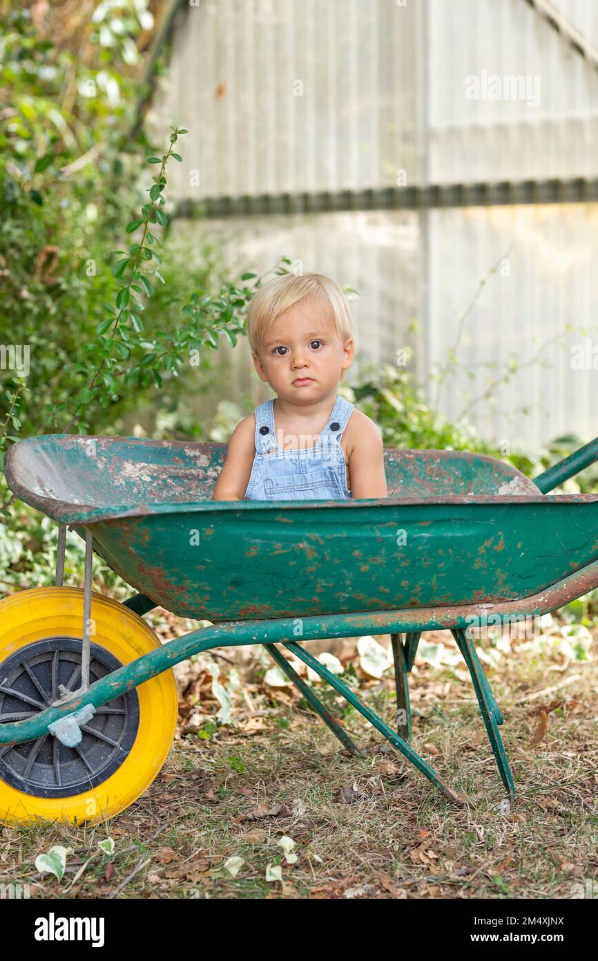 Cute boy in wheelbarrow at garden Stock Photo - Alamy