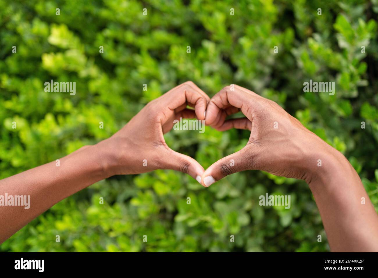 Hands of woman making head shape in front of green plants Stock Photo