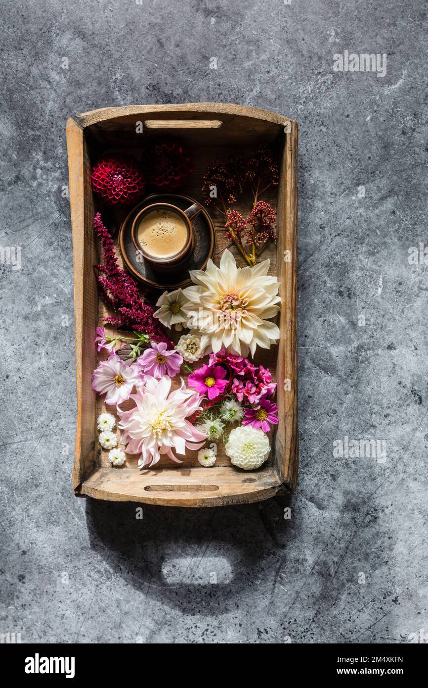 Studio shot of tray with various flowers and cup of coffee Stock Photo