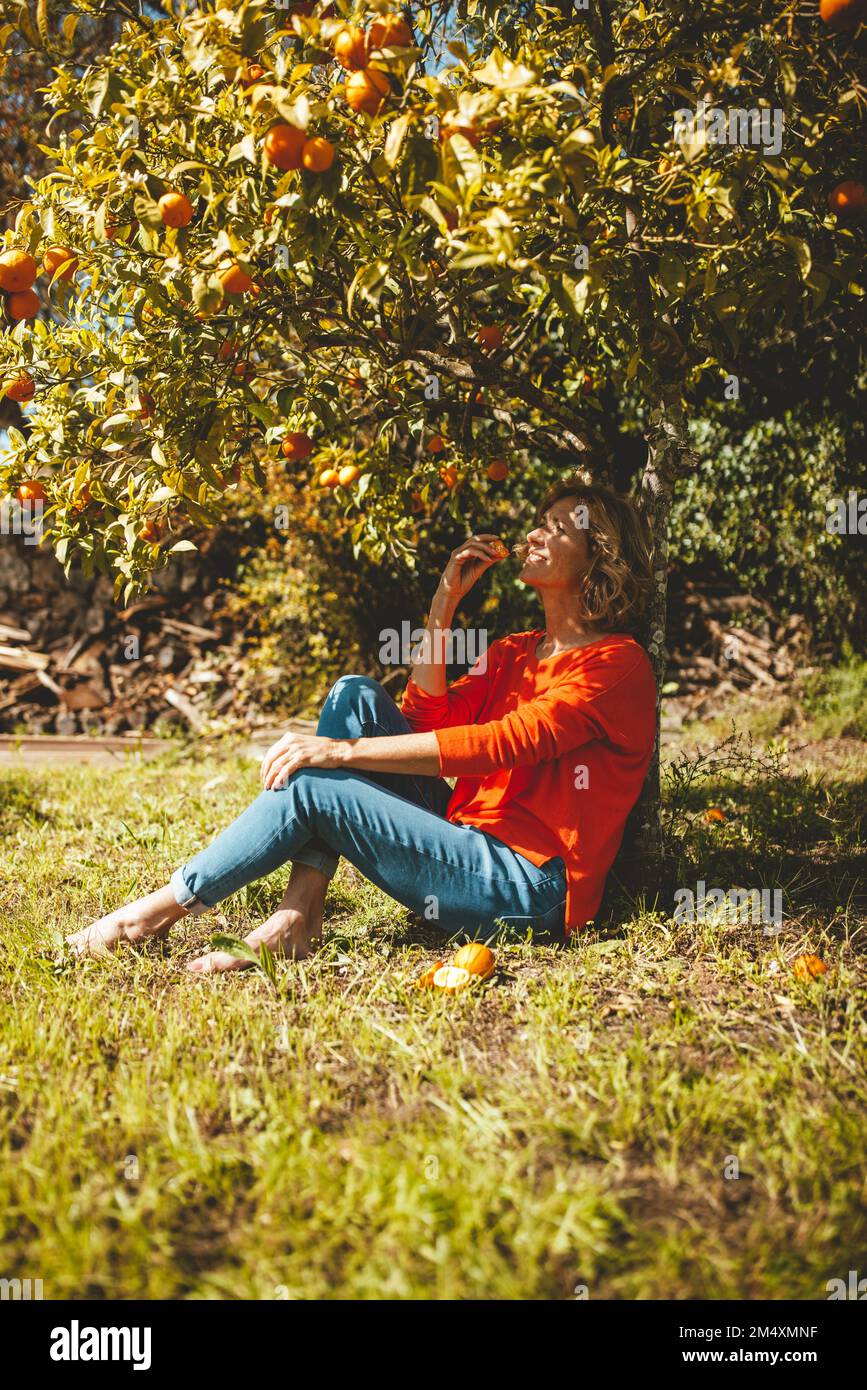 Orange colour fruit hi-res stock photography and images - Alamy