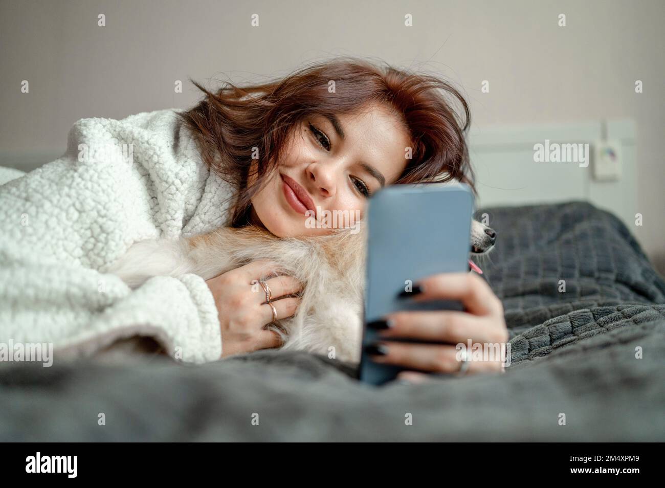 Smiling woman stroking Pomeranian dog and using smart phone at home Stock Photo