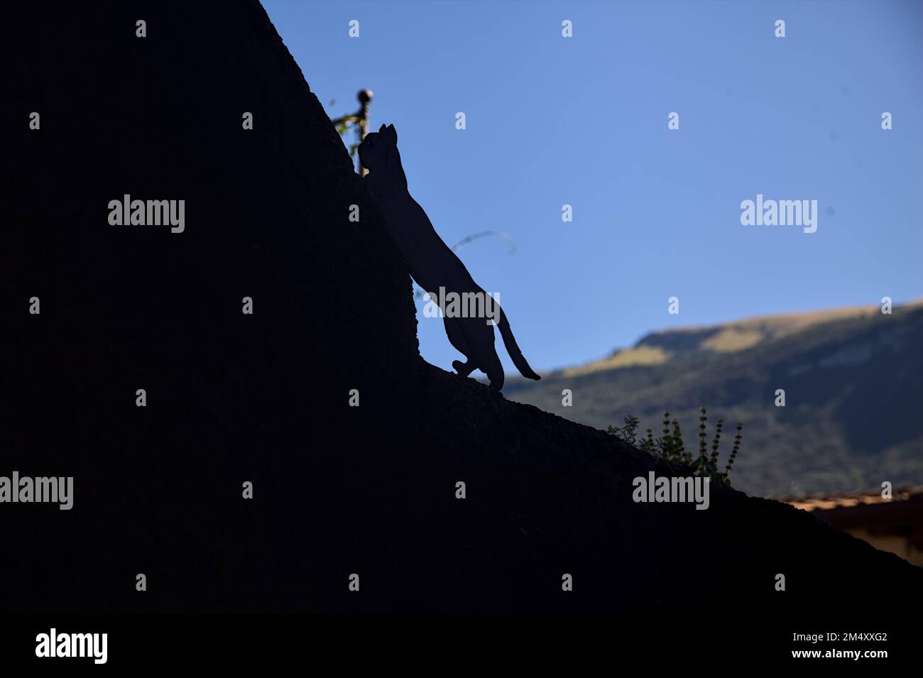 Sculptures shaped like cats and mice running on the top of a stone wall
