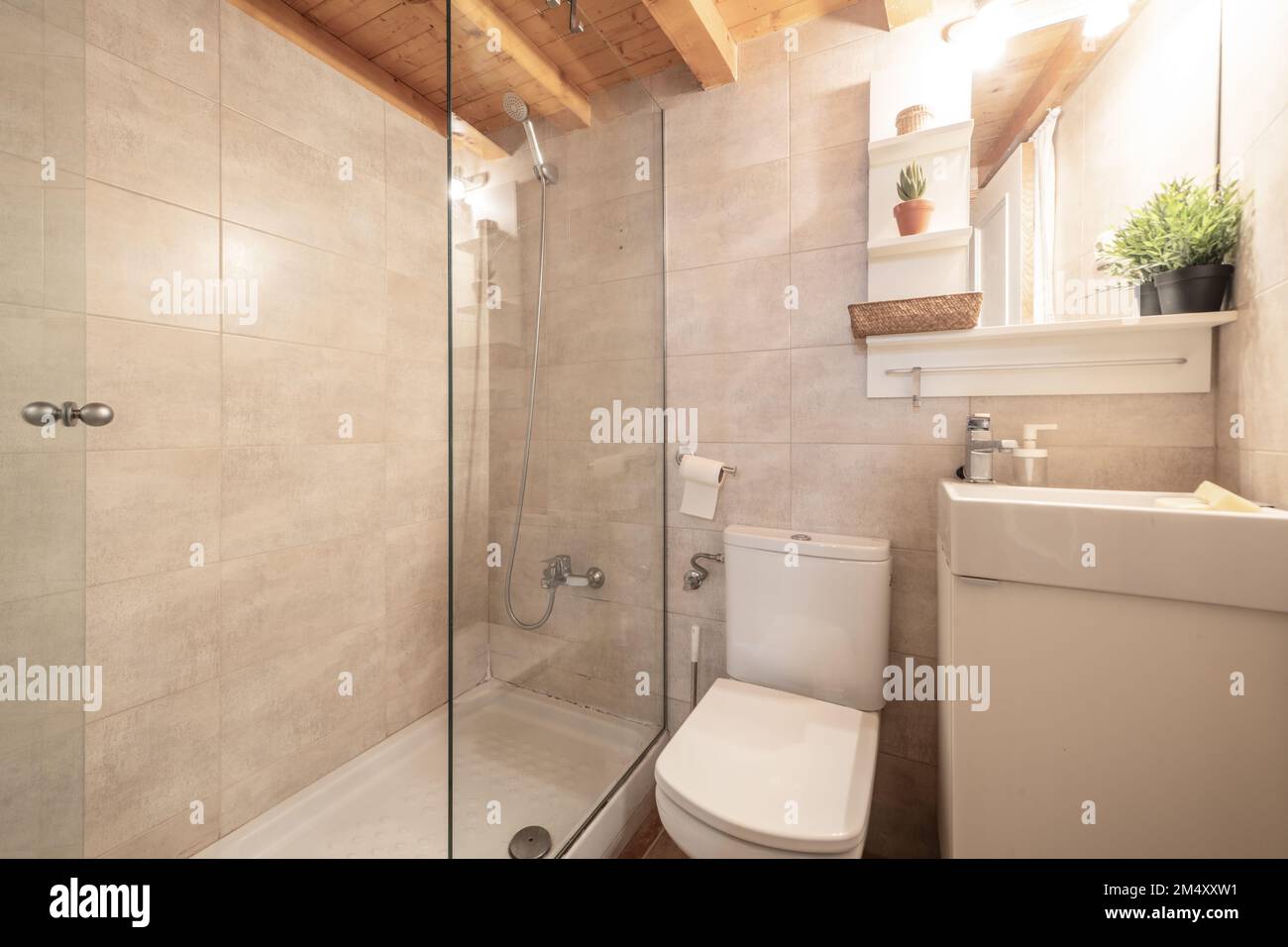 Small bathroom with glassenclosed shower tray and door, pine coffered
