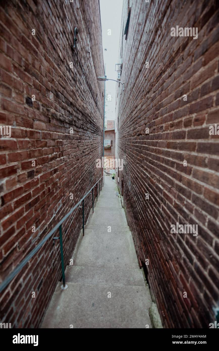 A vertical shot of a narrow stairway between brick walls Stock Photo ...