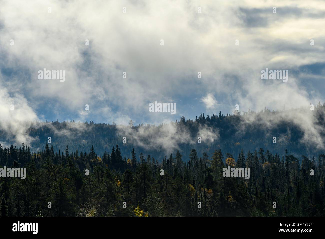 Rising mists over the forest, Lake Superior Provincial Park, Ontario, Canada Stock Photo