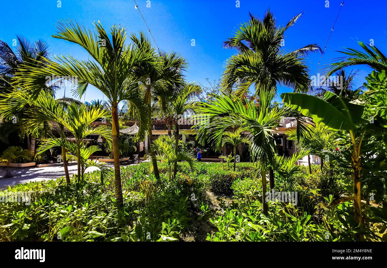 Resorts and landscape view with tropical nature on beautiful Holbox