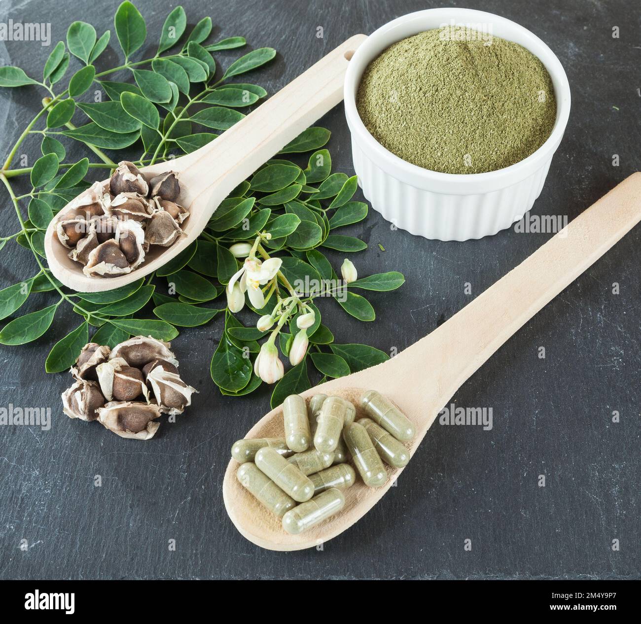 Moringa nutritional plant Seeds, leaves, capsules and powder - Moringa  oleifera Stock Photo - Alamy