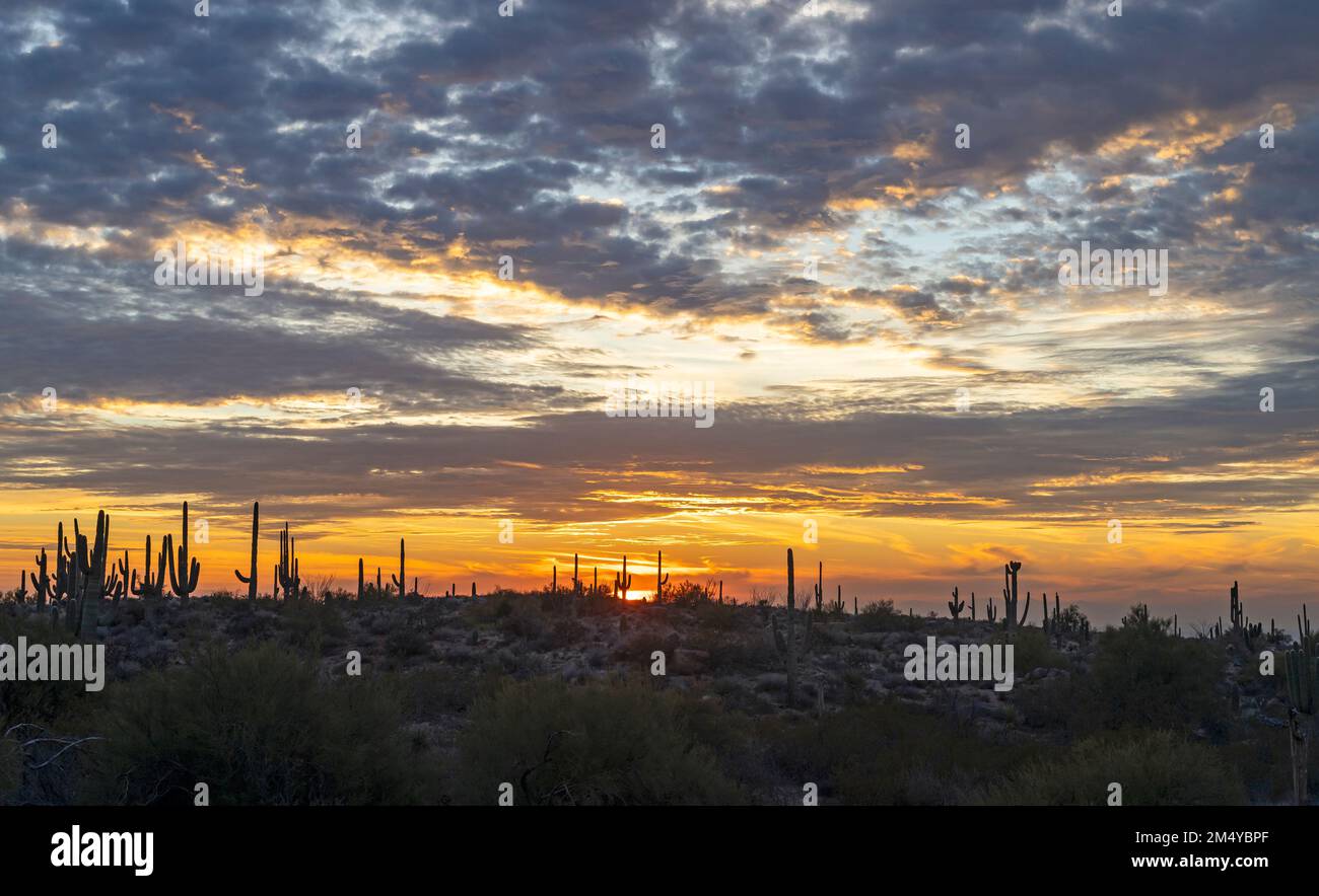 Wide Ratio Sonoran Desert Landscape At Sunset In AZ Stock Photo - Alamy