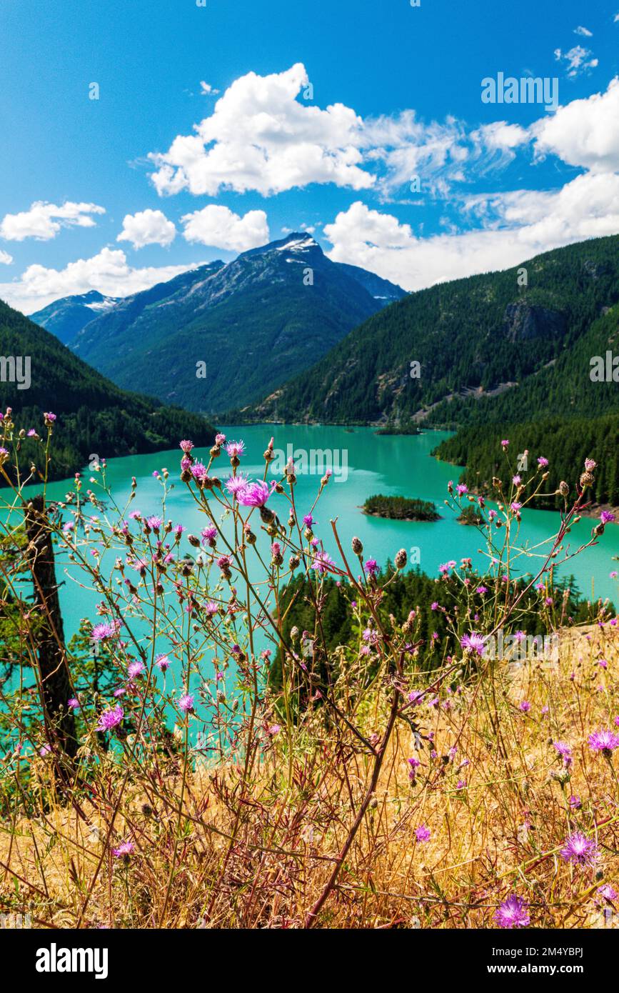 Diablo Lake & Dam; North Cascades National Park; Washington; USA Stock Photo