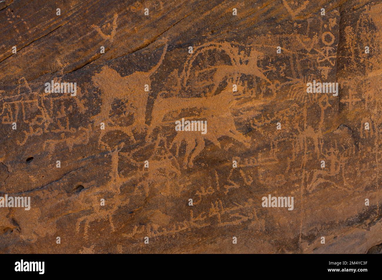 Rock carvings, Unesco site Bir Hima Rock Petroglyphs and Inscriptions