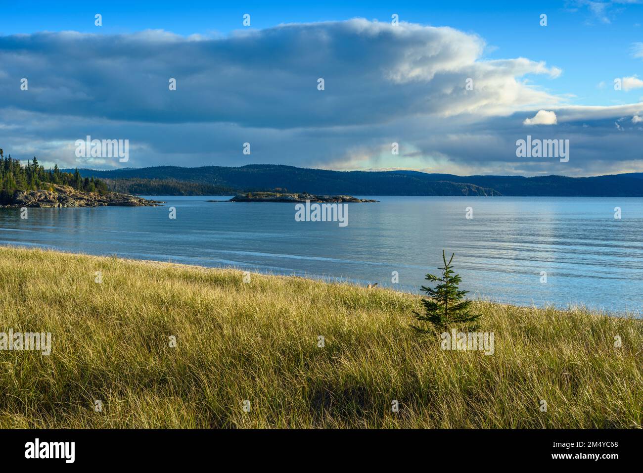 Sand dunes on Lake Superior, Sandy Beach, Sandy Beach , Wawa, Ontario, Canada Stock Photo