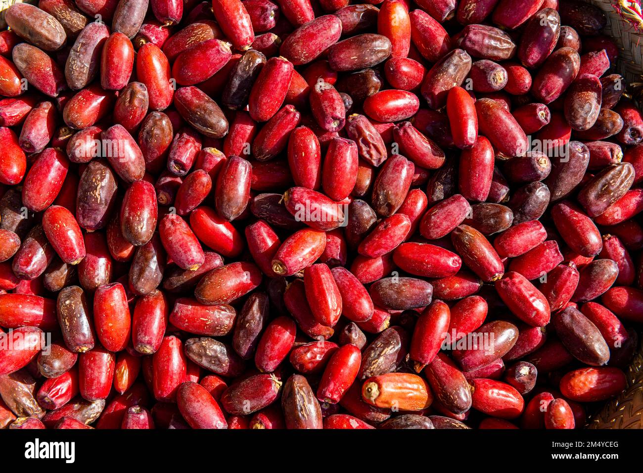Local dates for sale, Najran, Kingdom of Saudi Arabia Stock Photo Alamy