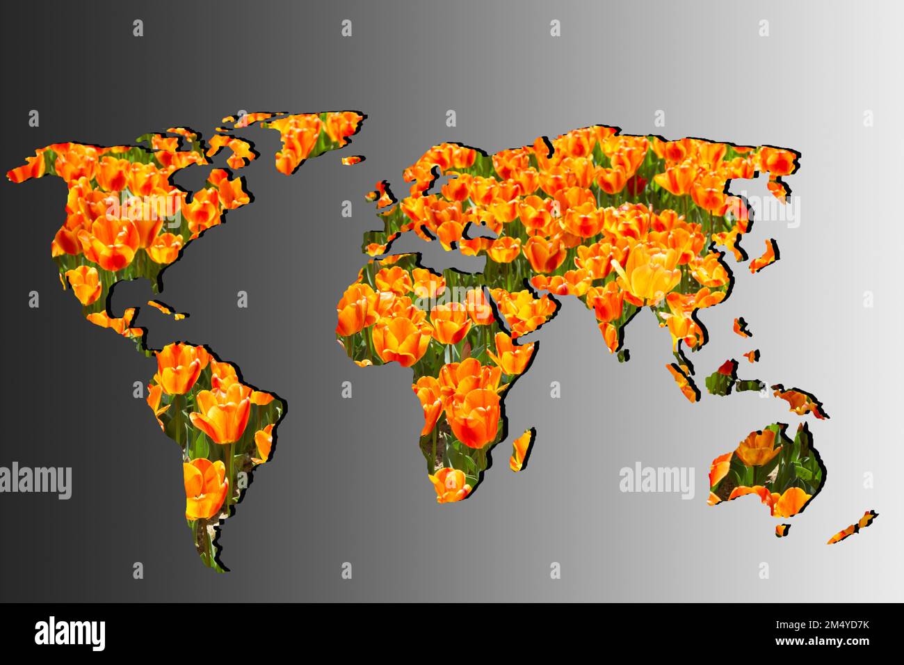 Roughly outlined world map with a gray background Stock Photo - Alamy