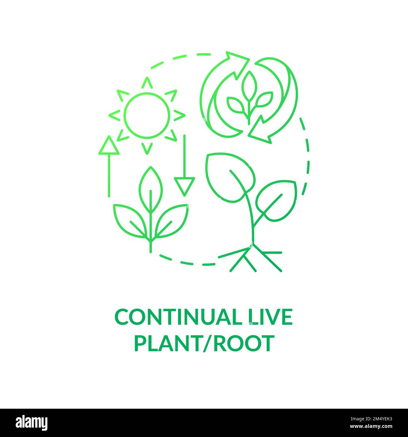 Continual live plant and root green gradient concept icon Stock Vector