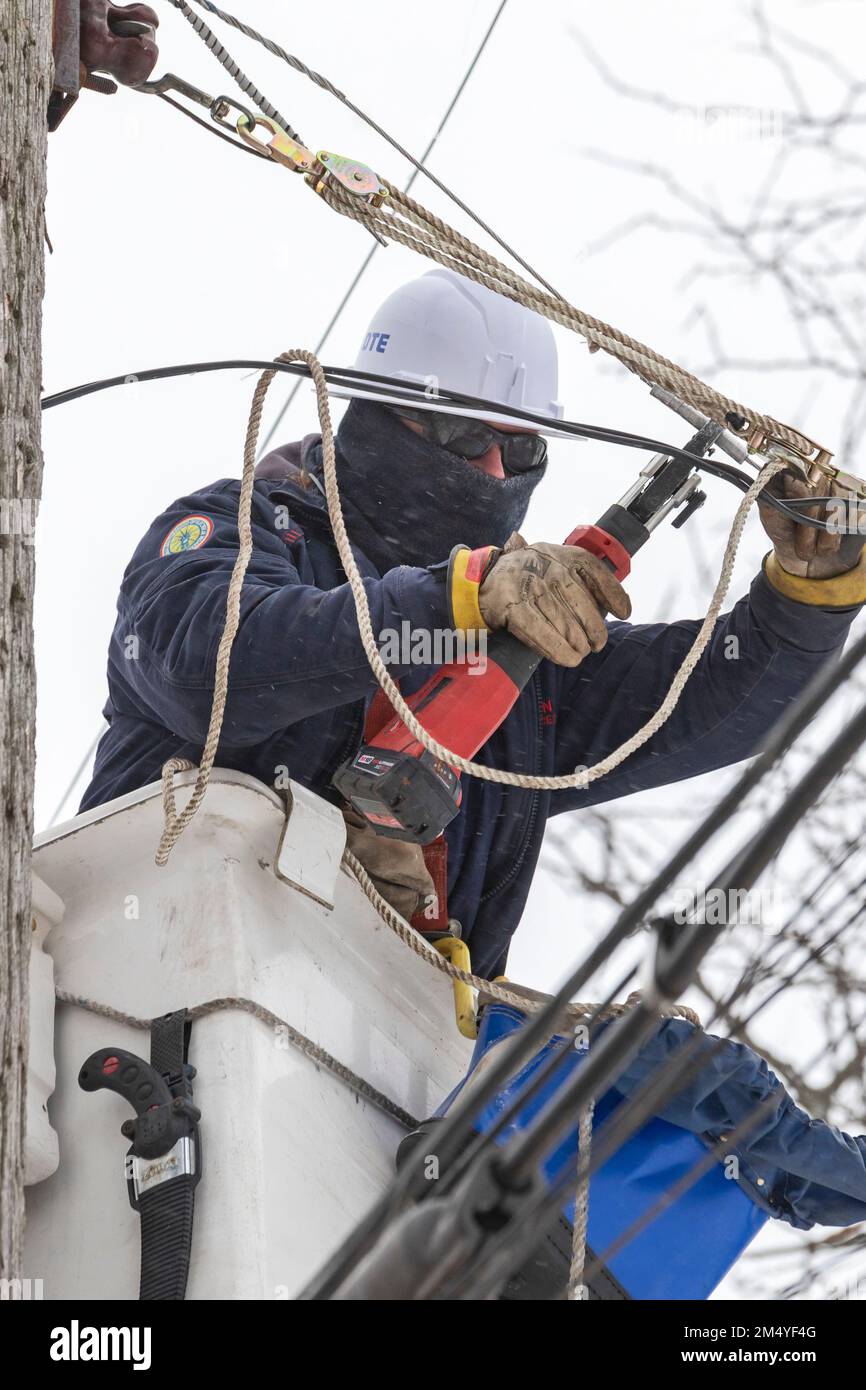 Detroit, Michigan, USA. 23rd Dec, 2022. DTE Energy workers repair a power line taken down by a falling tree during a winter storm. The storm brought dangerous cold, snow, and wind to much of the United States. The storm left about 1.3 million customers without power across the country. Credit: Jim West/Alamy Live News Stock Photo