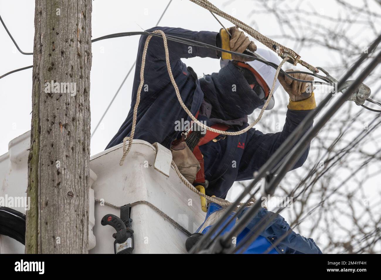 Detroit, Michigan, USA. 23rd Dec, 2022. DTE Energy workers repair a power line taken down by a falling tree during a winter storm. The storm brought dangerous cold, snow, and wind to much of the United States. The storm left about 1.3 million customers without power across the country. Credit: Jim West/Alamy Live News Stock Photo