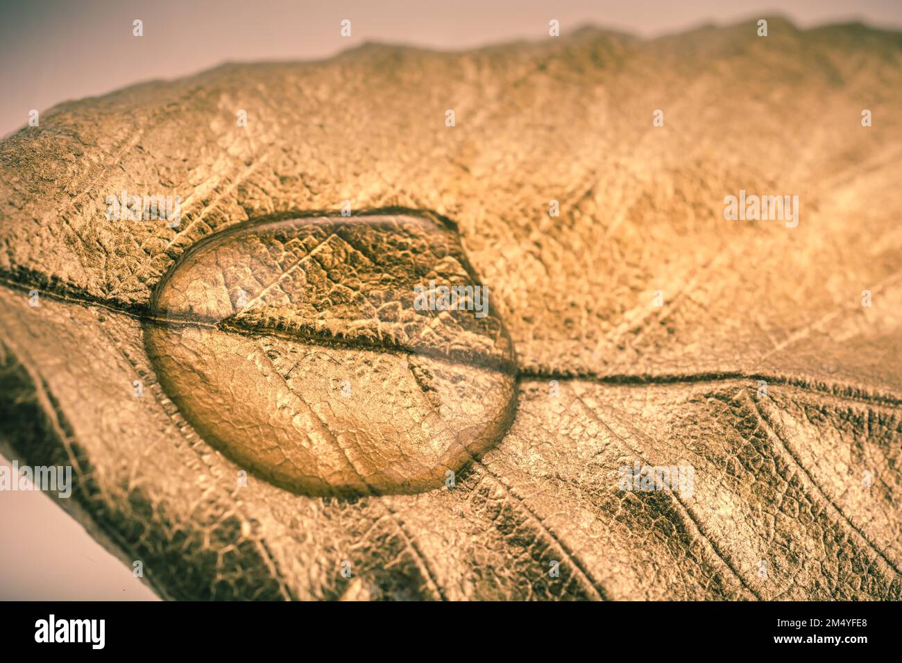 Gold leaf on painting hi-res stock photography and images - Alamy