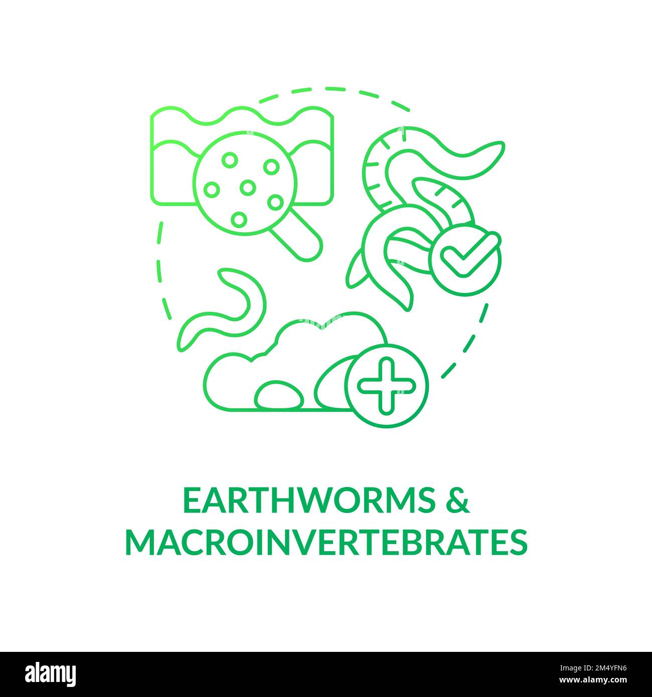 Earthworms and macroinvertebrates green gradient concept icon Stock Vector