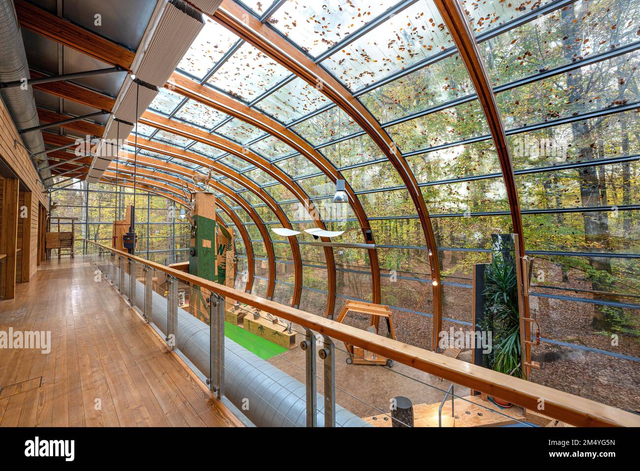 House of the Forest, Stuttgart, Germany Stock Photo - Alamy