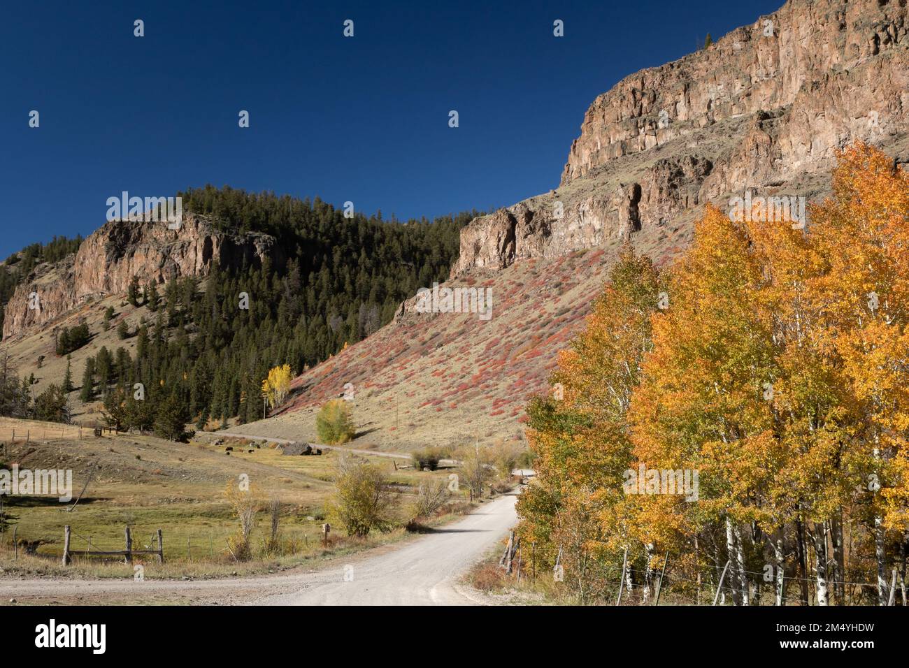 Junction of County Road 45 and County Road 50 along Cebolla Creek in a remote area of Hinsdale County, Colorado, called Cathedral on maps. Stock Photo
