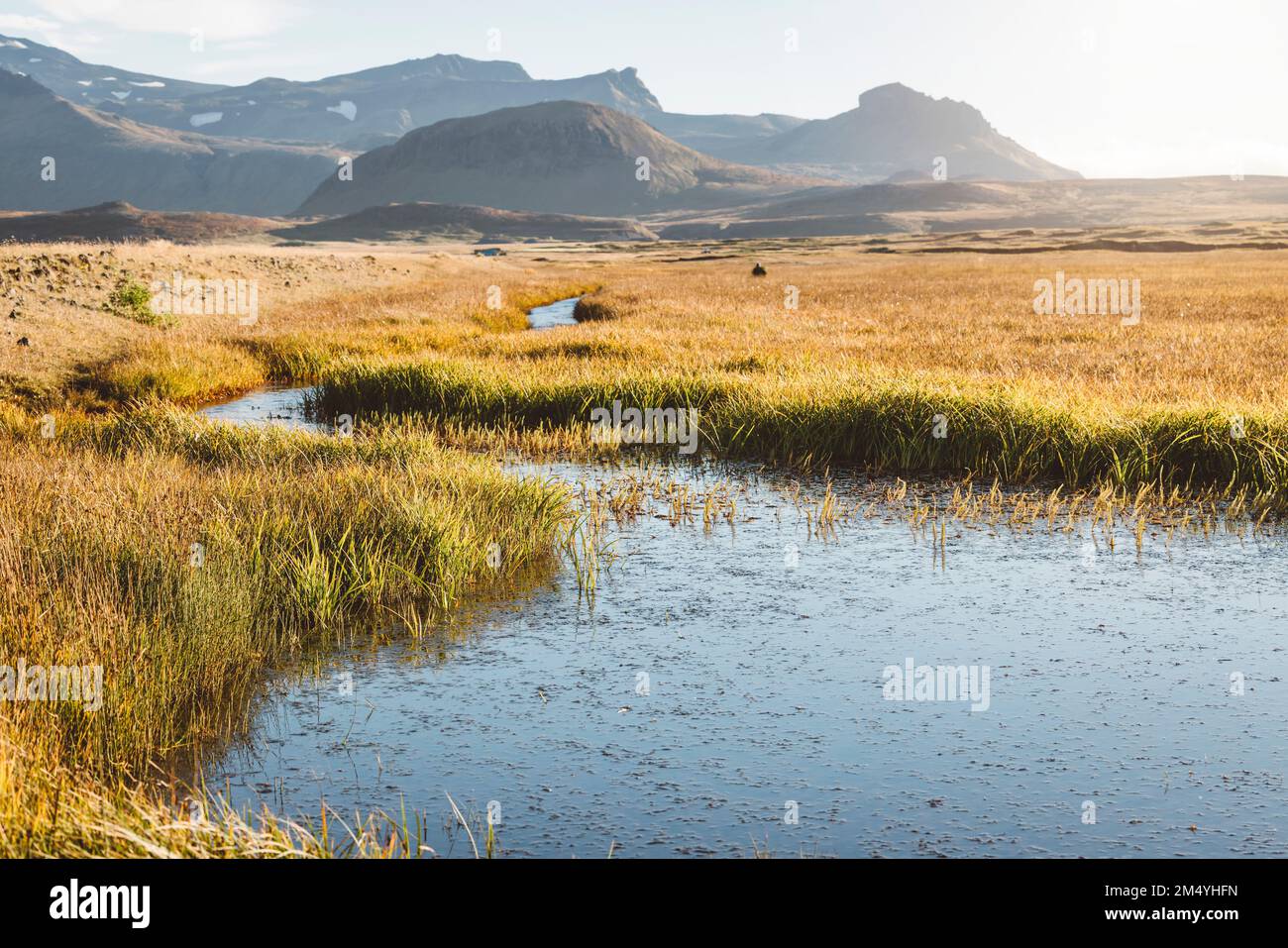 Autumn sun shining over small river stream with orange grass somwhere in Iceland Stock Photo