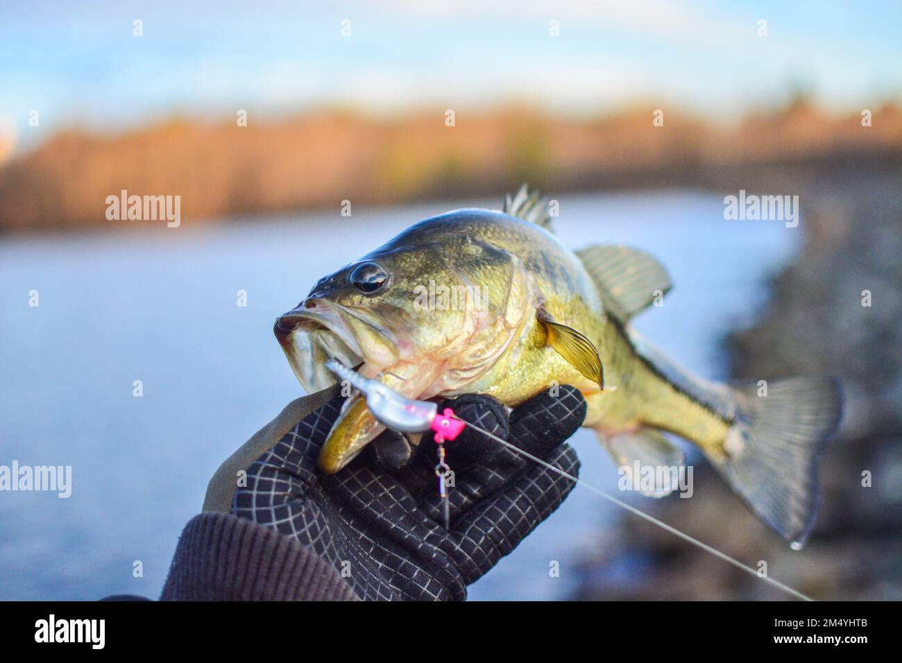 The black bass lure fishing hi-res stock photography and images - Alamy