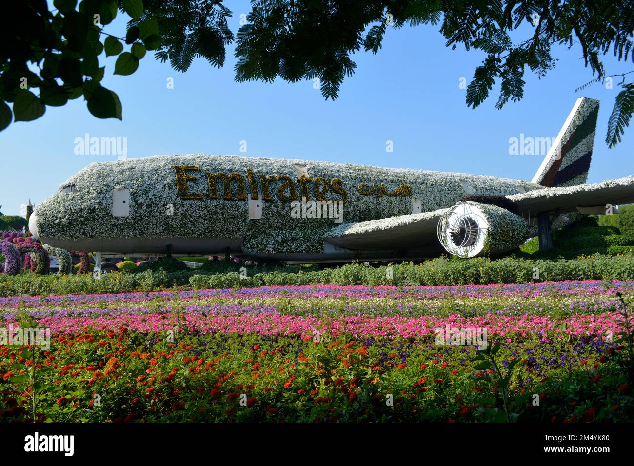 Dubai, United Arab Emirates (UAE), December 2022 Dubai Miracle Garden