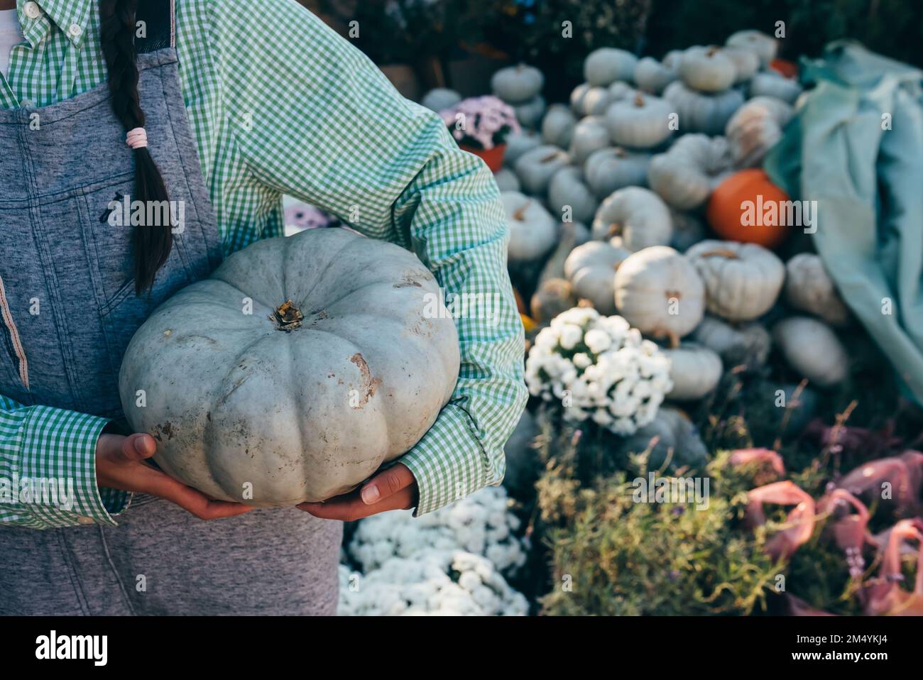 Happy farmer woman in a denim jumpsuit holds ripe pumpkin, autumn harvest. Concept of agriculture. Stock Photo