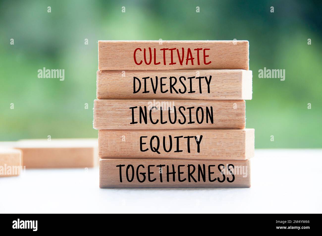 Cultivate diversity, inclusion, equity, togetherness text on wooden blocks with blurred nature background. Stock Photo