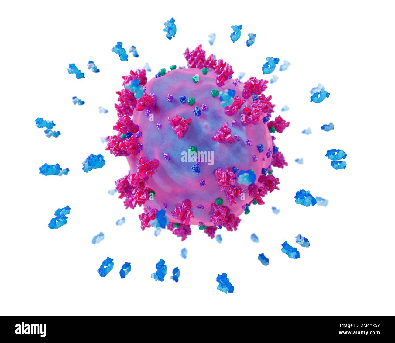 Antibodies attacking a coronavirus particle, illustration Stock Photo ...