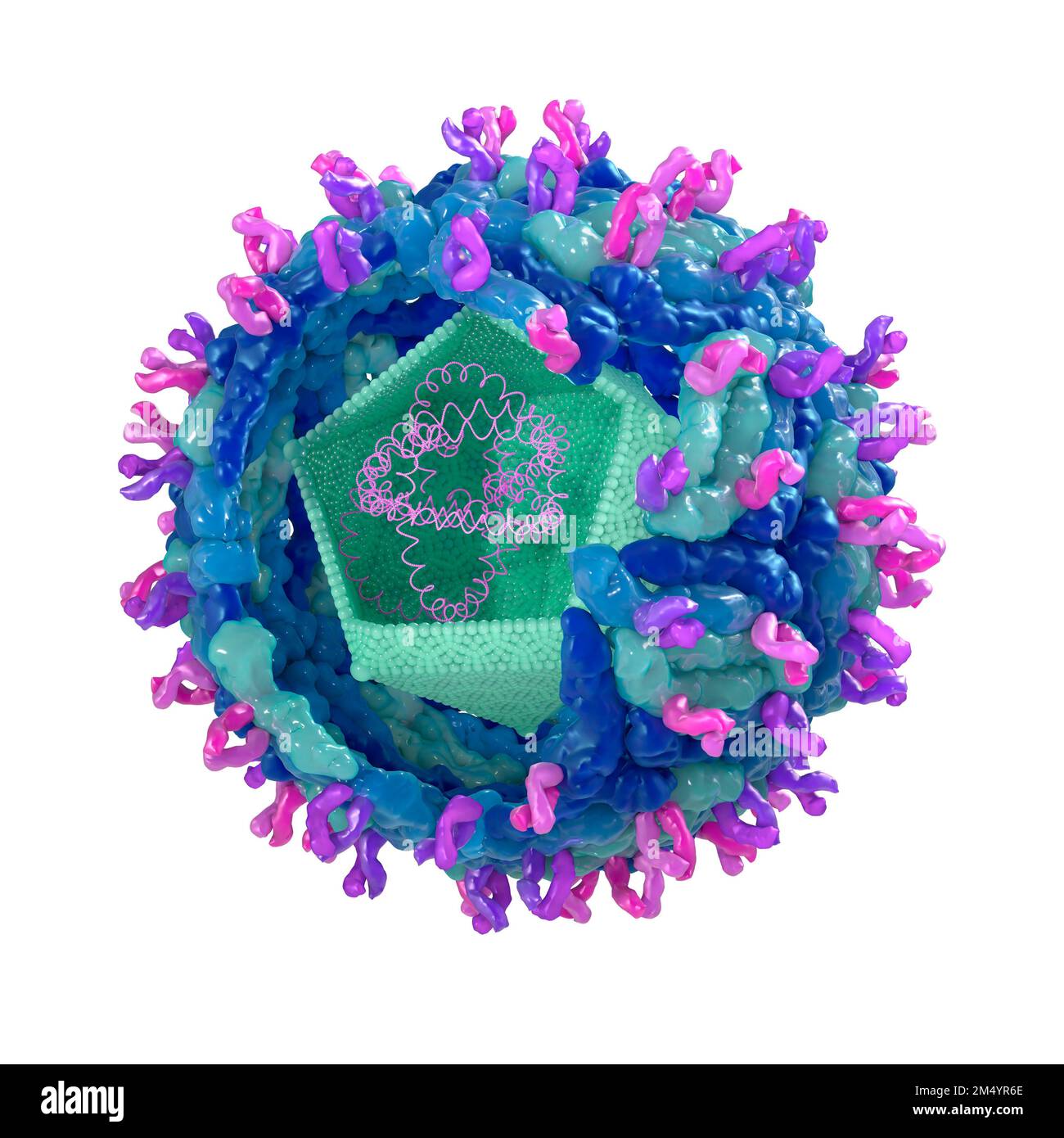 West Nile virus structure, illustration. The west nile virus can cause encephalitis in humans. It is transmitted by mosquitoes. Stock Photo