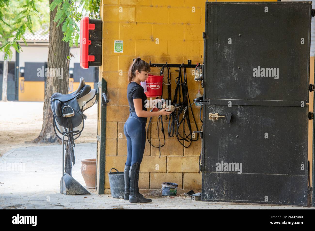 Woman cleaning up riding gear at Horse stud farm of Andalusian Horses, Jerez de la Frontera, Spain Stock Photo