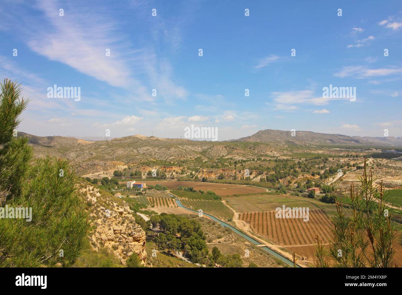 Spain Rice Fields An aerial view of the rice fields of Calasparra, Murcia, Spain Stock ...