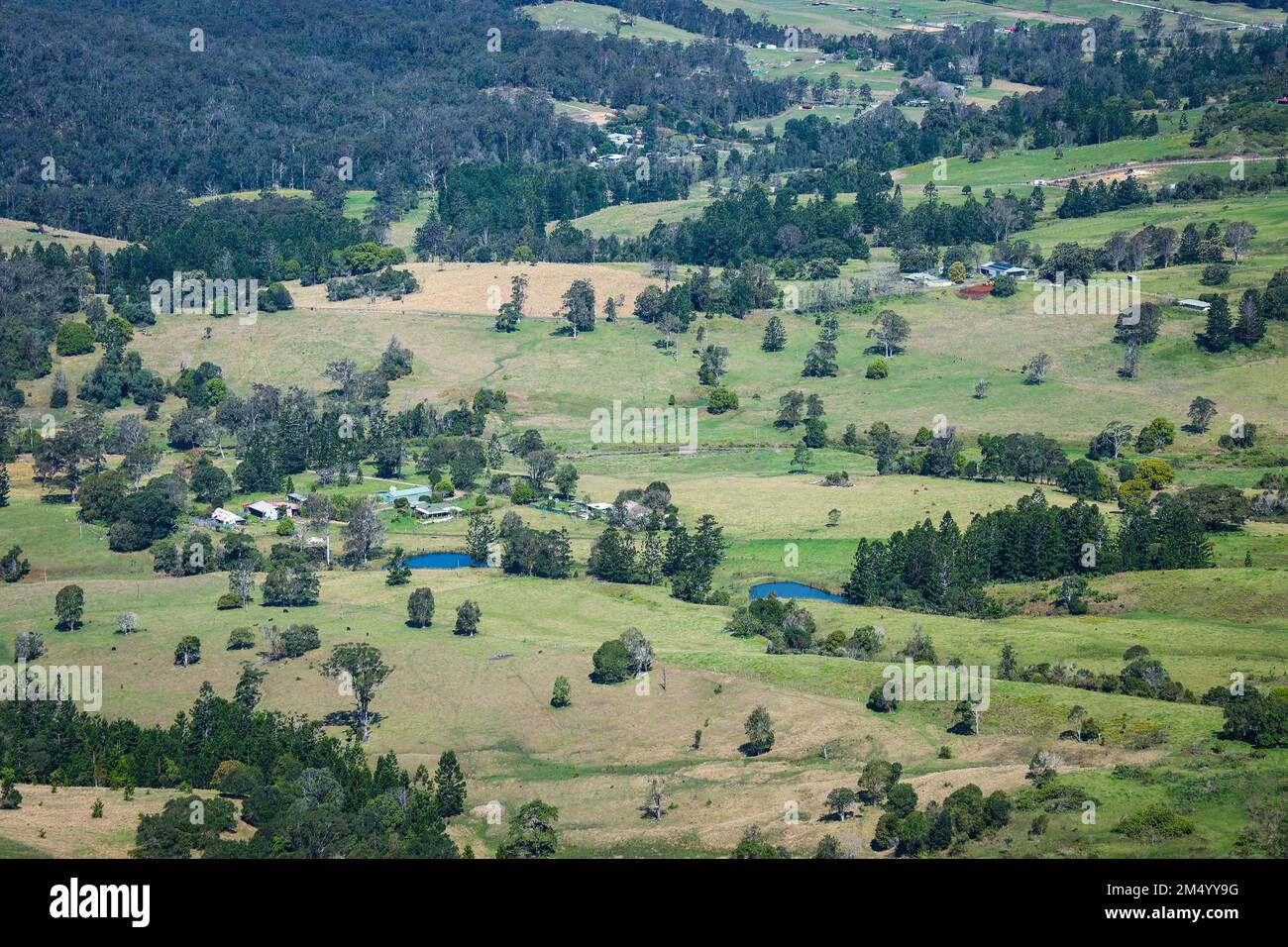 An aerial view of forest with dense trees Stock Photo - Alamy