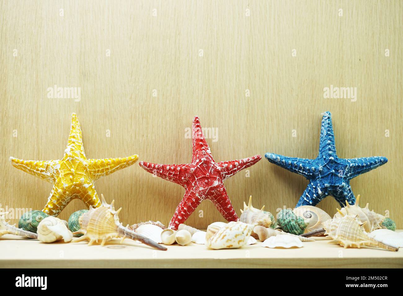 https://c8.alamy.com/comp/2M502CR/colorful-starfish-and-seashell-marine-decoration-with-space-copy-on-wooden-background-2M502CR.jpg