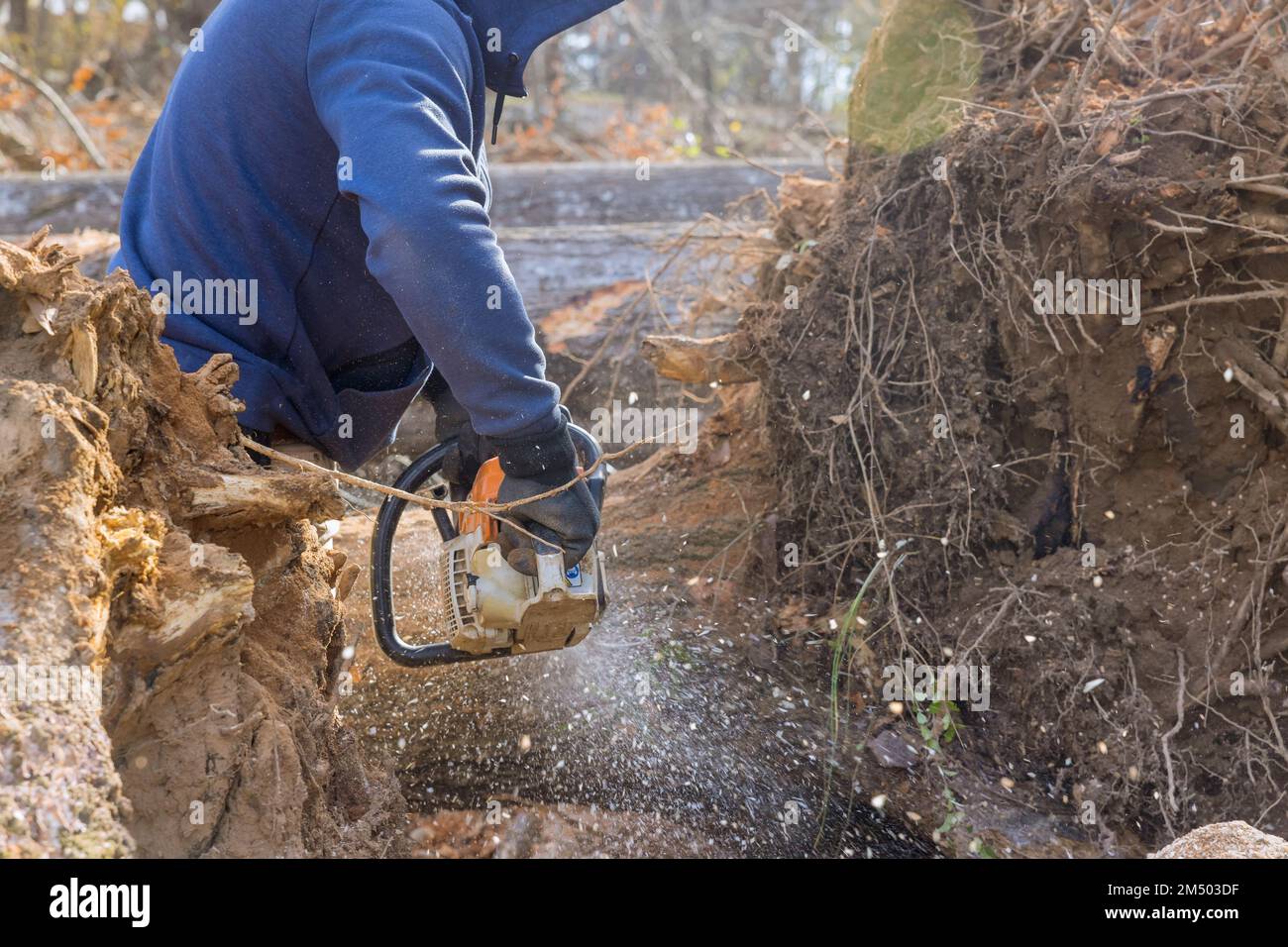 Using chain saw to cut down trees service worker ends up causing an