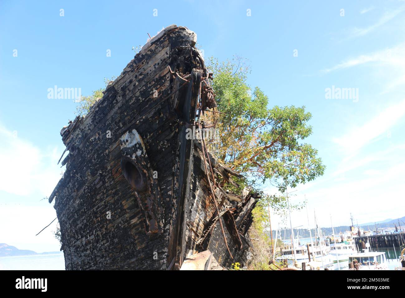 Anacortes city hi-res stock photography and images - Alamy