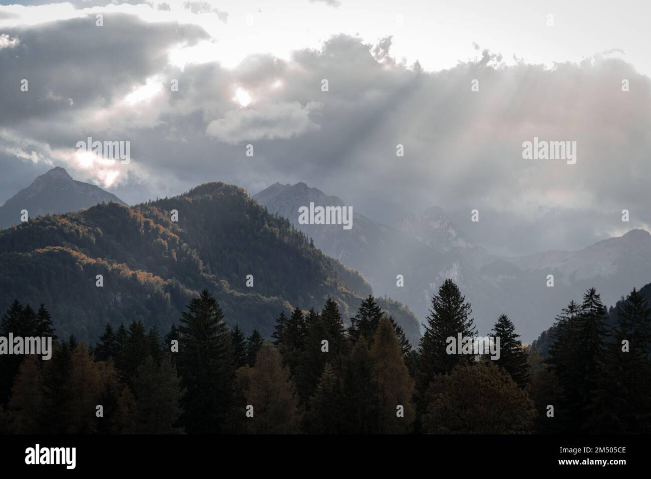An Aerial view of a dense green mountain forest covered with dense fog ...