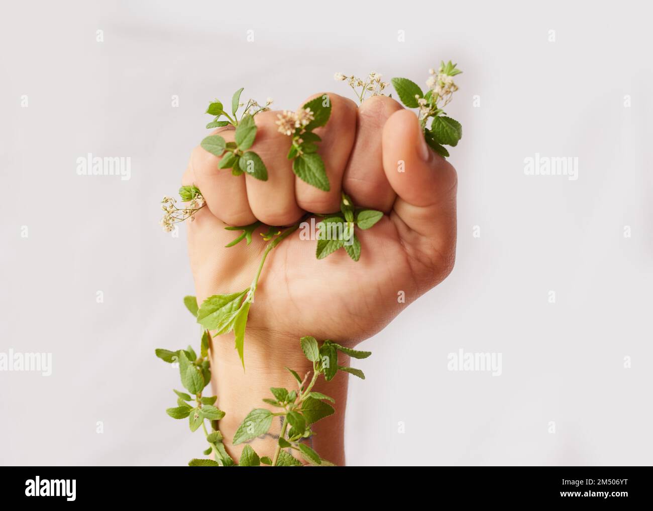 Use your voice for those who cant speak. an unidentifiable womans hand clenching flowers in a fist in studio. Stock Photo