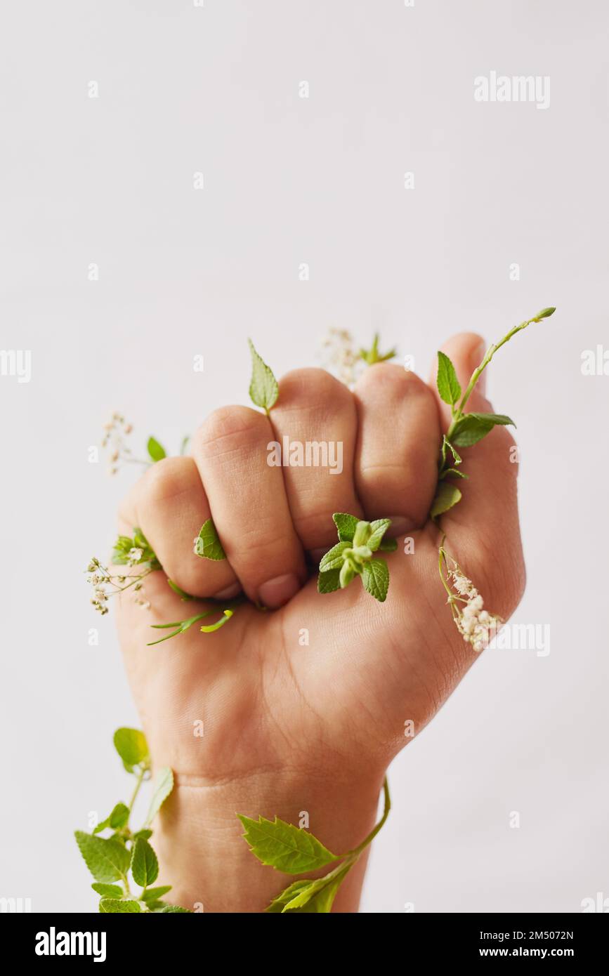 Fight for the fragile. an unidentifiable womans hand clenching flowers in a fist in studio. Stock Photo