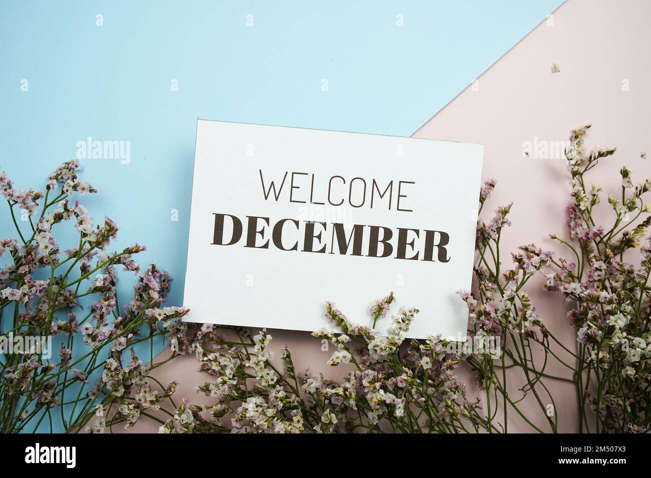 Welcome December text message with flower on blue and pink background ...