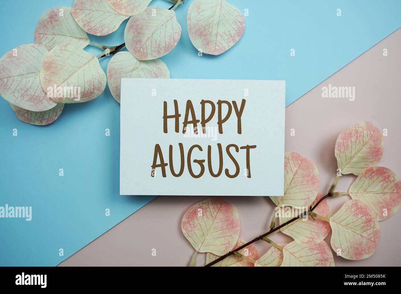 Happy August text message with artificial leave on blue and pink ...