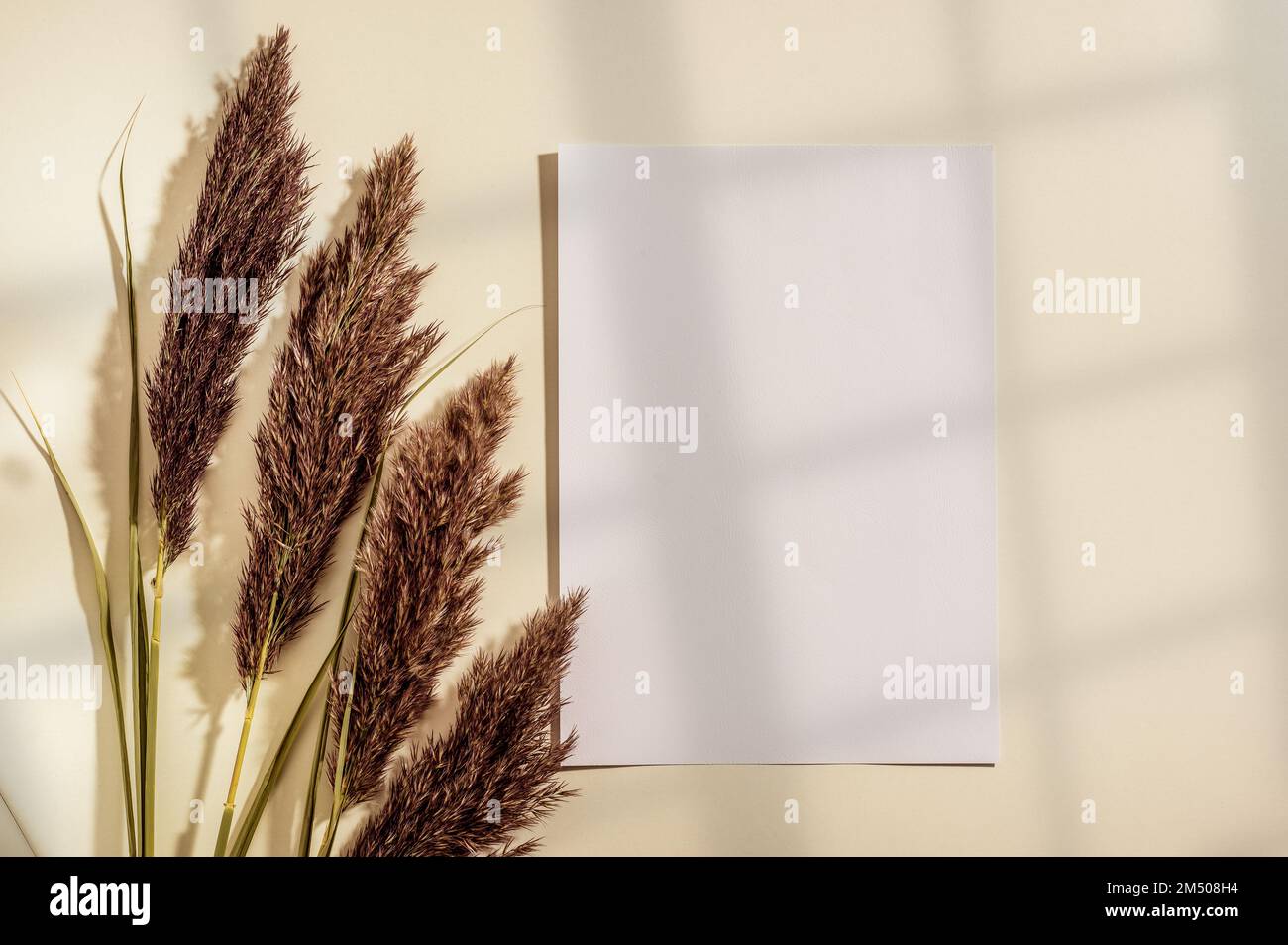 Blank vertical paper A4, invitation mockup, flat lay. Dry grass ...