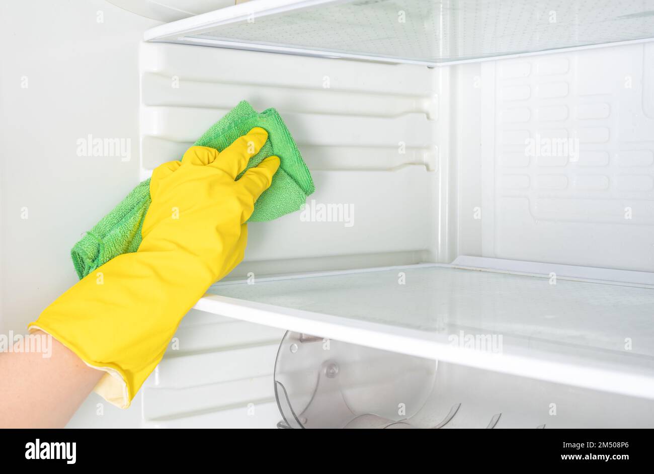 Deep Cleaning service. House cleaning. Washing fridge. Woman hand in