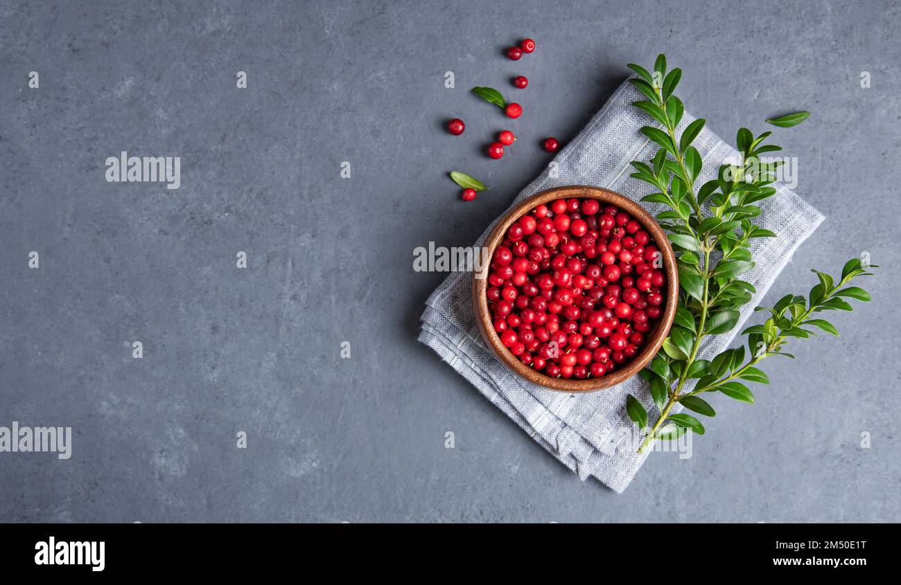 juicy forest lingonberry  in a wooden bowl  with brunch on dark gray table. Concept  healthy food. Top view and copy space image Stock Photo