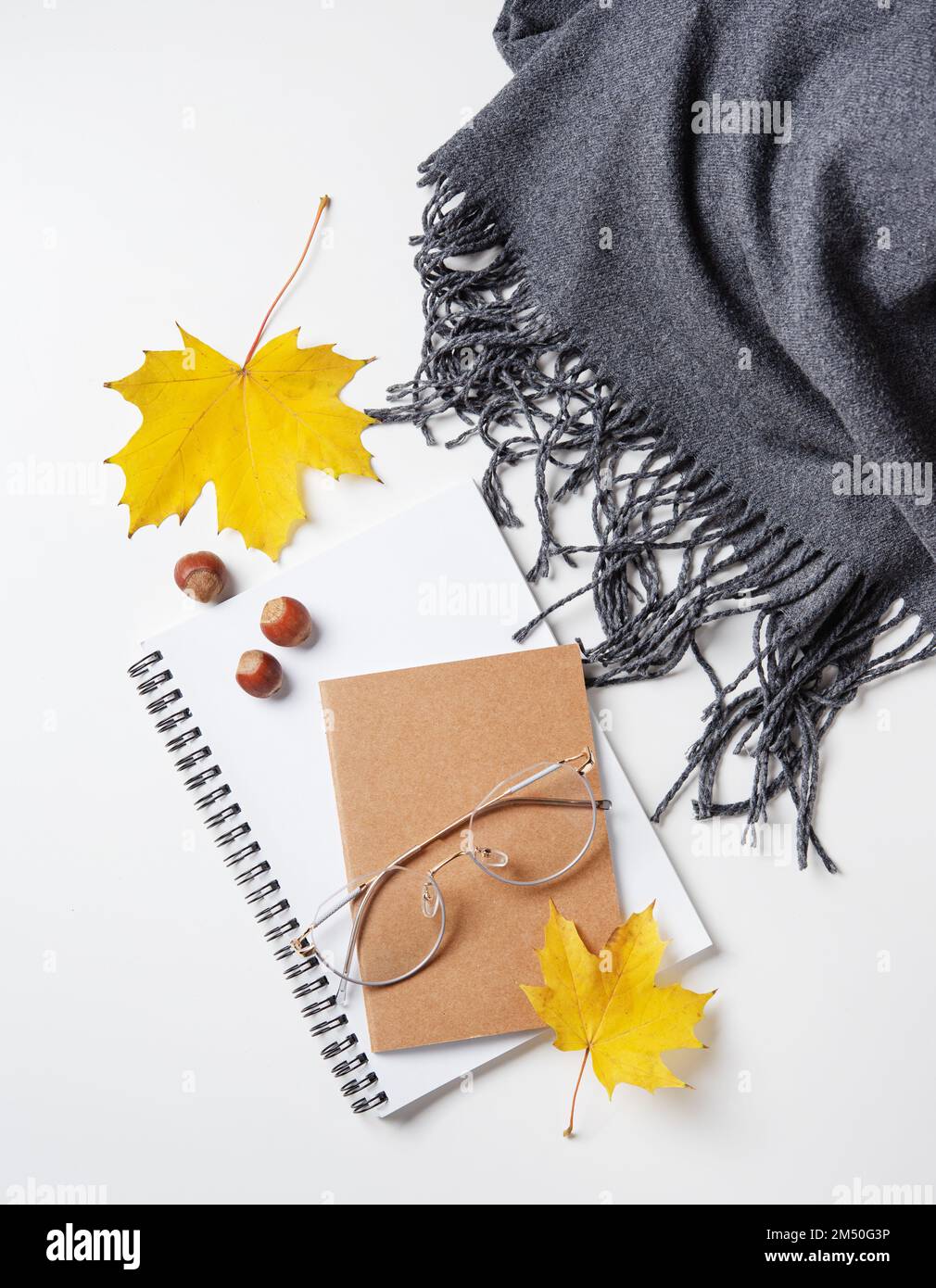 Concept cozy autumn flat lay with yellow maple leaves on notepad with eyeglasses and gray scarf  on a white table. Top view and copy space. Stock Photo