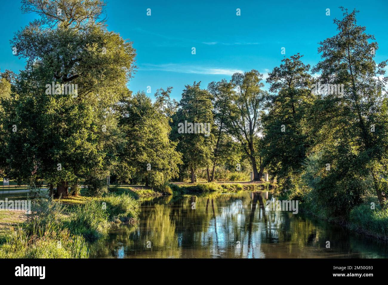 A beautiful scenery of a river surrounded by trees under blue sky in a ...