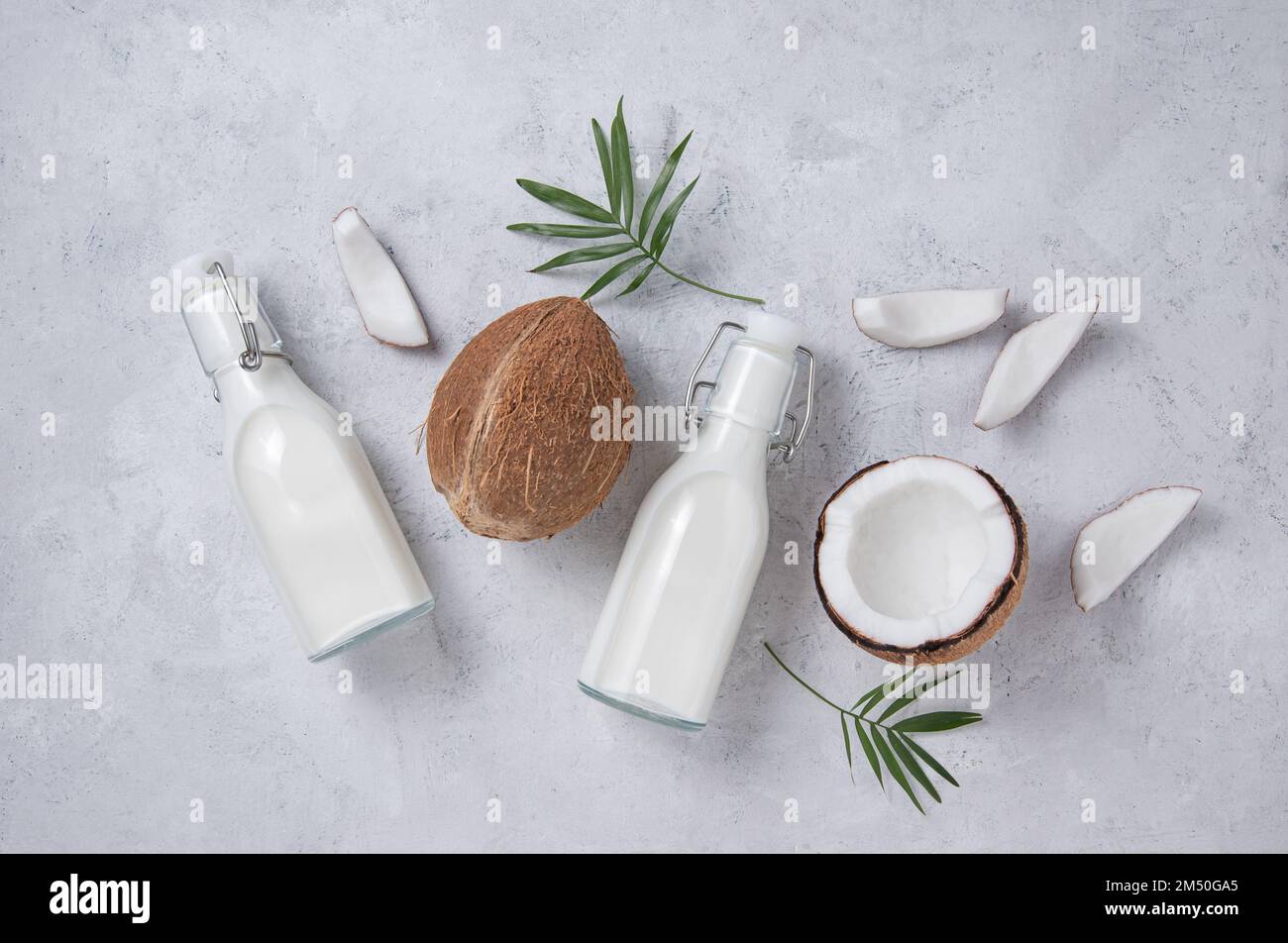 Healthy flat lay concept. Vegan milk bottles, coconut slices and palm branch on gray background. Top  view image Stock Photo