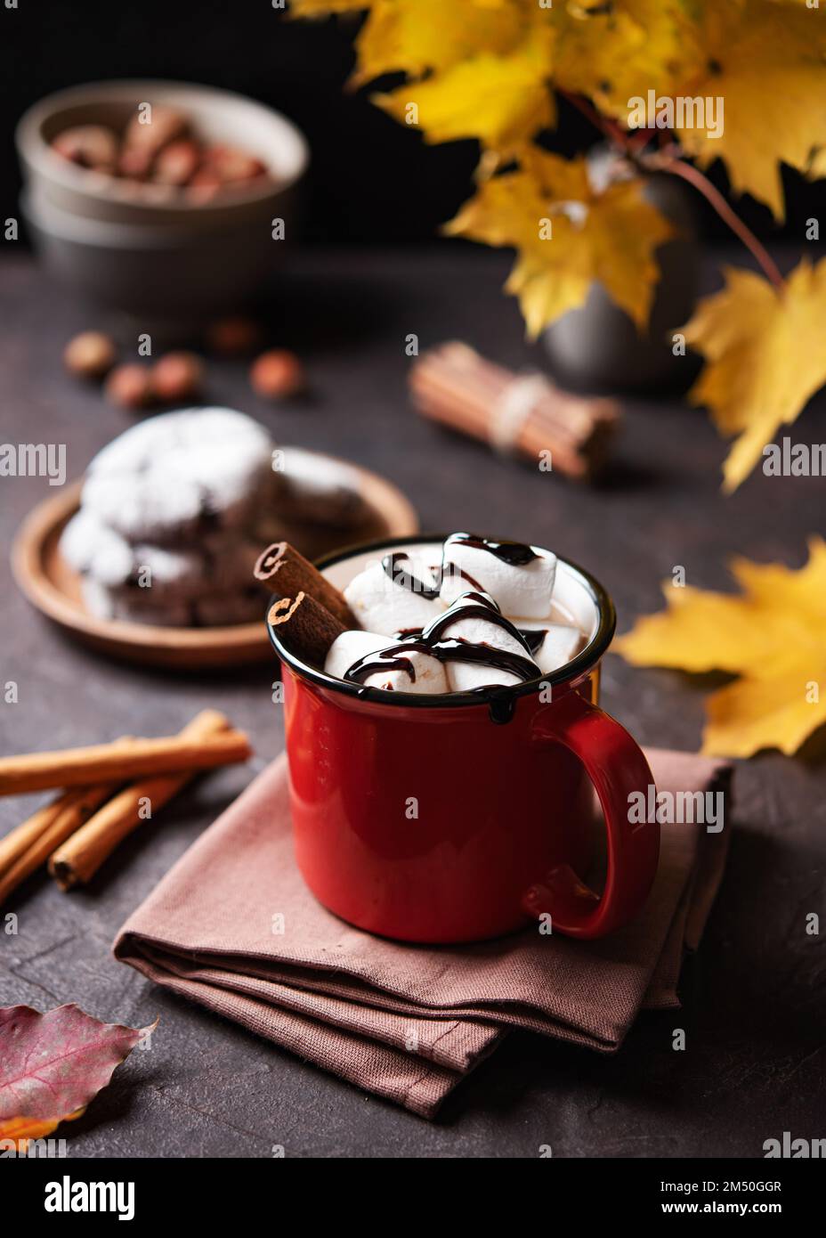 Red cup of aroma hot chocolate with marshmallows on a brown  background with autumn maple leaves, cinnamon and cookies. Concept cozy drink. Front view Stock Photo