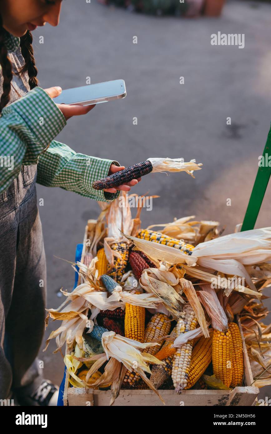 Young woman takes a photo of a corn cob at the market Stock Photo
